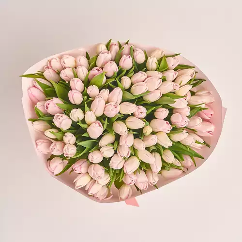 Product image Bouquet 101 Light Pink Tulips, packaging: Composite light pink, vendor code: 3285