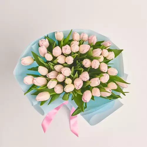 Product image Bouquet 51 Light Pink Tulips, packaging: Blue, vendor code: 3286