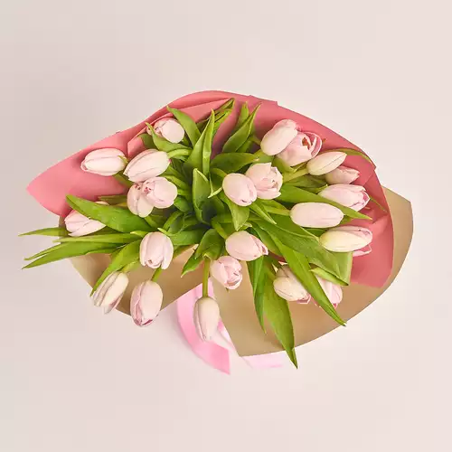 Product image Bouquet 25 Light Pink Tulips, packaging: Gradiens pink, vendor code: 3287