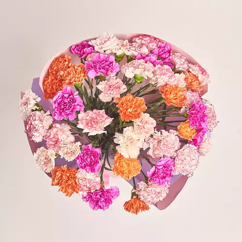 Product image Bouquet 51 Carnations mix, packaging: Gradiens violet, vendor code: 3288