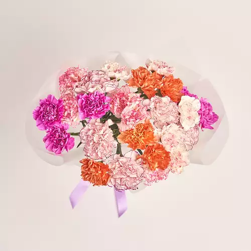 Product image Bouquet 25 Carnations mix, packaging: Transparent, vendor code: 3289