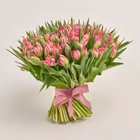 Букет 101 Светло-Розовый пионовидный тюльпан