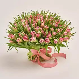 Букет 101 Світло-Рожевий піоновидний тюльпан