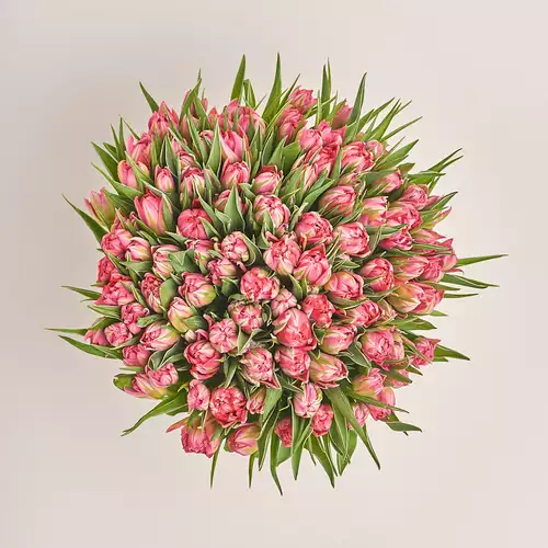 Product image Bouquet 101 Light Pink PionyTulips, packaging: Without packaging, vendor code: 3290