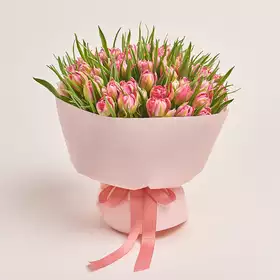 Букет 51 Светло-Розовый пионовидный тюльпан