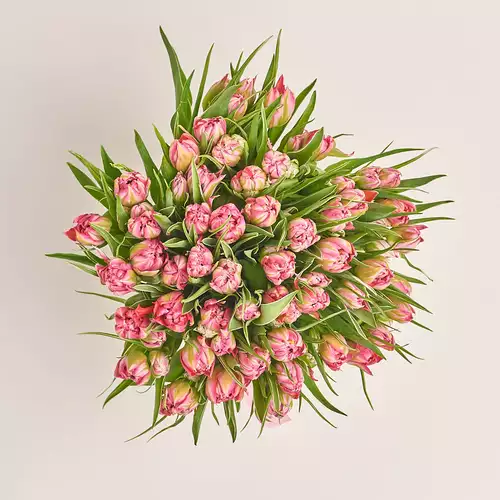 Product image Bouquet 51 Light Pink PionyTulips, packaging: Without packaging, vendor code: 3291