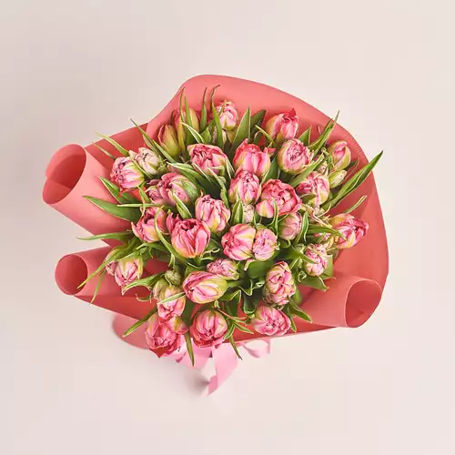 Product image Bouquet 25 Light Pink PionyTulips, packaging: Kafin rust, vendor code: 3292