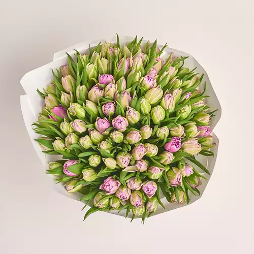 Product image Bouquet 101 Light Violet PionyTulips, packaging: White, vendor code: 3293