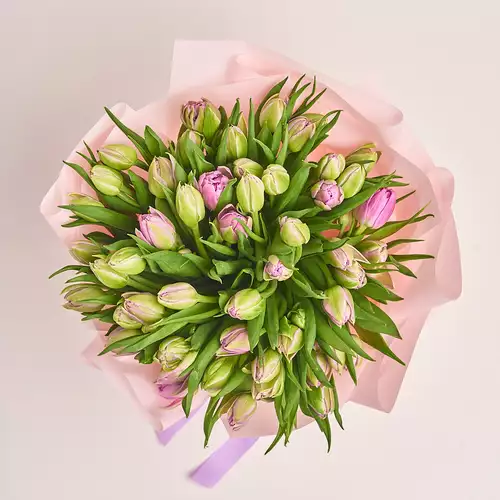 Product image Bouquet 51 Light Violet PionyTulips, packaging: Pink, vendor code: 3294