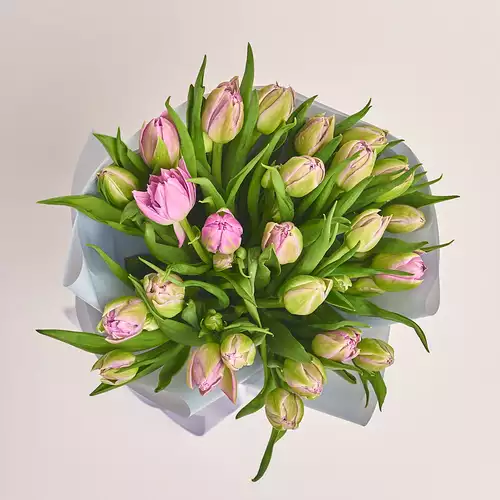Зображення товару Букет 25 Світло-Фіолетових піоновидних тюльпанів, пакування: Сіра, артикул: 3295