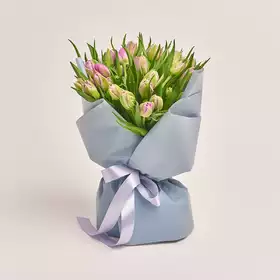 Букет 25 Світло-Фіолетових піоновидних тюльпанів