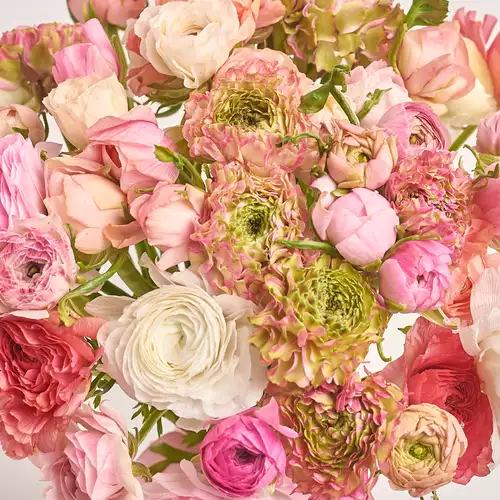 Product image Bouquet 51 Ranunculuses mix, packaging: 
Graphite, vendor code: 3301