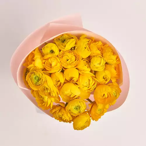 Product image Bouquet 25 Yellow Ranunculuses, packaging: Composite light pink, vendor code: 3306