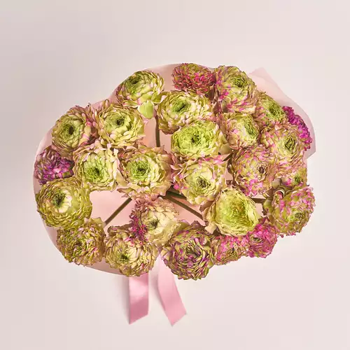 Product image Bouquet 25 Ranunculuses Ponpon Bicolor, packaging: Composite light pink, vendor code: 3308