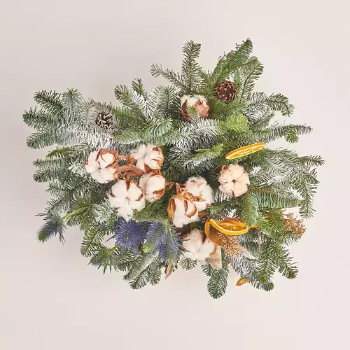 Product image Сhristmas Сomposition in Pot №1, vendor code: 3309