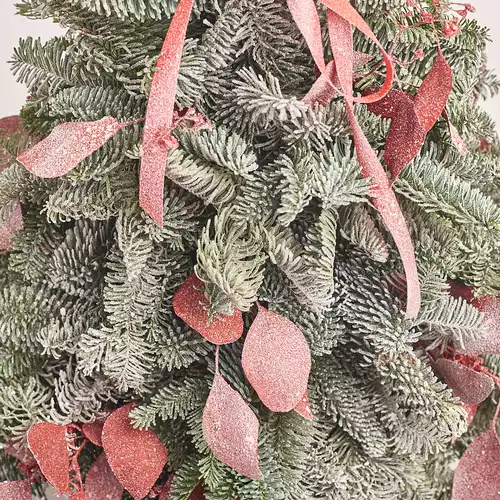 Product image Сhristmas Сomposition in pot #4, vendor code: 3312