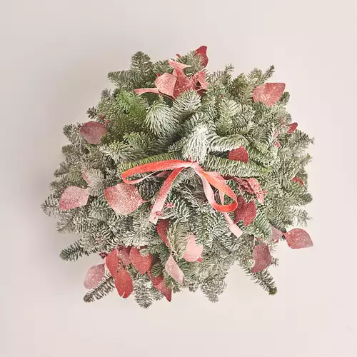 Product image Сhristmas Сomposition in pot #4, vendor code: 3312