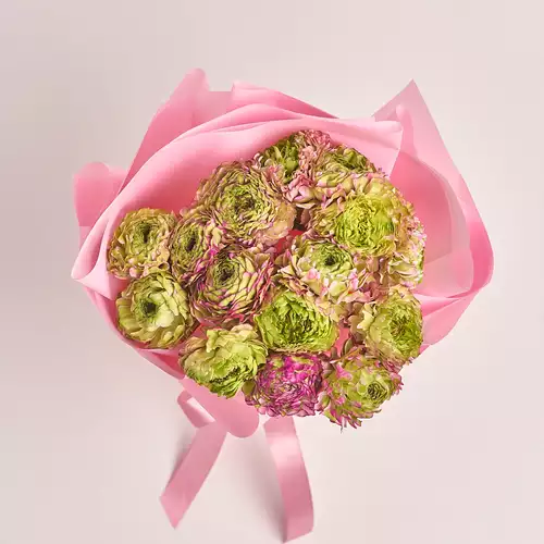 Product image Bouquet 15 Ranunculuses Ponpon Bicolor, packaging: Pink, vendor code: 3314