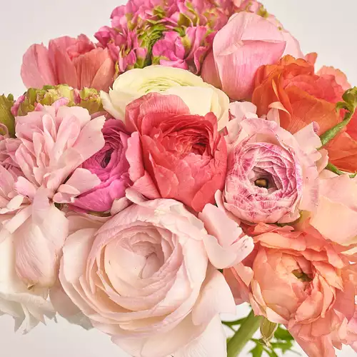 Изображение товара Букет 15 Ранункулюсов микс, упаковка: Градиент синий, артикул: 3315