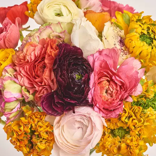 Product image Bouquet 25 Bright Ranunculuses mix, packaging: White, vendor code: 3316