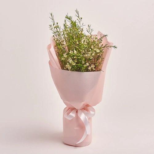 Product image Bouquet 5 White Chamelauciums, packaging: Composite light pink, vendor code: 3319