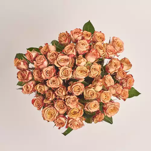Product image Bouquet of 51 Roses Сappuccino, packaging: Without packaging, vendor code: 3321