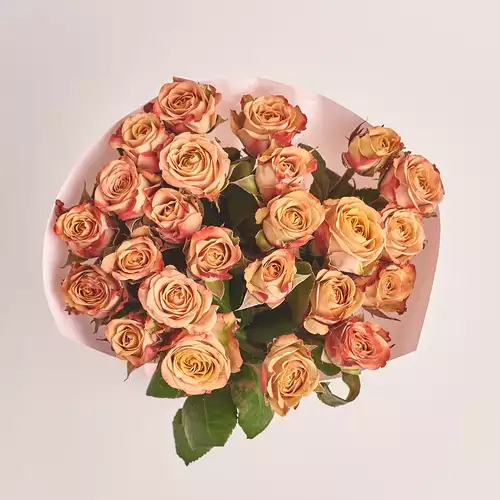 Product image Bouquet of 25 Roses Сappuccino, packaging: Composite light pink, vendor code: 3322