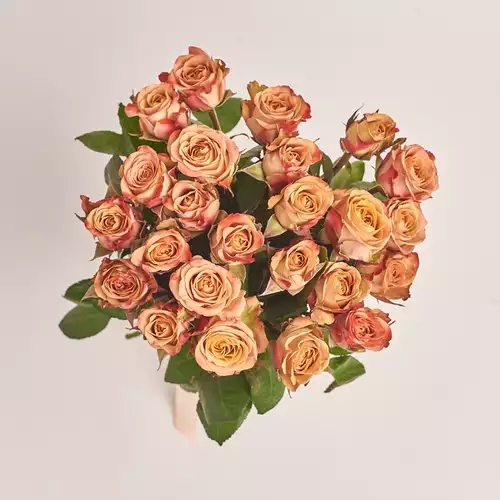 Product image Bouquet of 25 Roses Сappuccino, packaging: Without packaging, vendor code: 3322