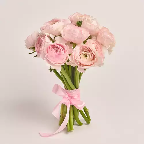 Product image Bouquet 15 Pink Ranunculuses, packaging: Without packaging, vendor code: 3325