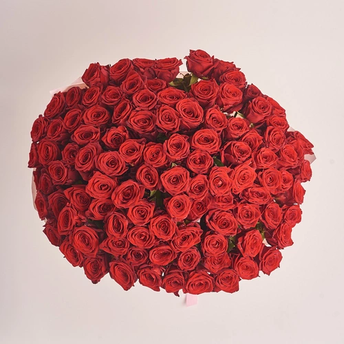 Зображення товару Букет 101 Червона троянда Ред Наомі, пакування: Композит світло-рожевий, артикул: 3328