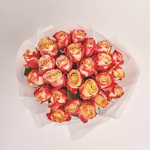 Product image Bouquet of 25 Cream-red roses, packaging: Transparent, vendor code: 3329