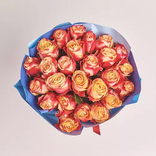 Product image Bouquet of 25 Cream-red roses, packaging: Gradiens blue, vendor code: 3329