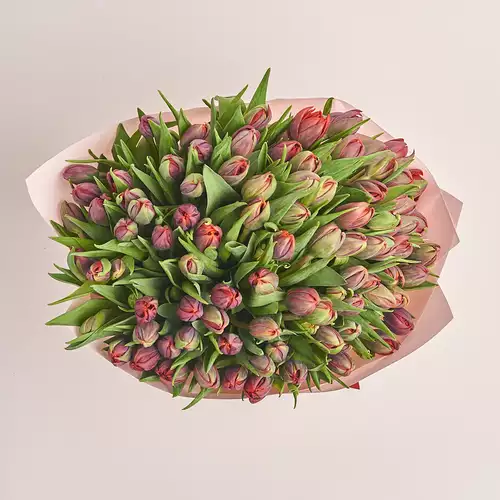 Product image Bouquet 101 Red Peony tulips, packaging: Composite light pink, vendor code: 3330