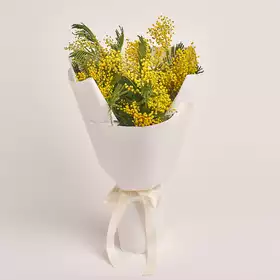 Bouquet of Mimosas М