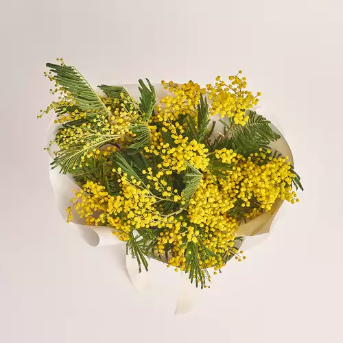 Product image Bouquet of Mimosas М, packaging: White, vendor code: 3332