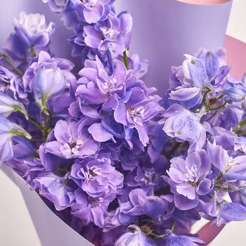 Product image Bouquet 9 Purple Delphiniums, packaging: White, vendor code: 3333