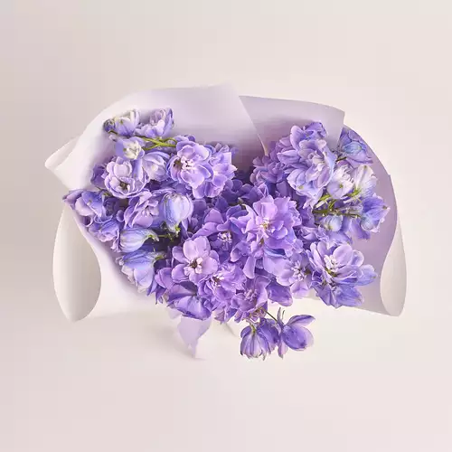 Product image Bouquet 9 Purple Delphiniums, packaging: White, vendor code: 3333