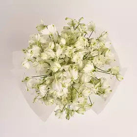 Букет 19 Білих Дельфініумів