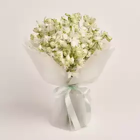 Bouquet 19 White Delphiniums