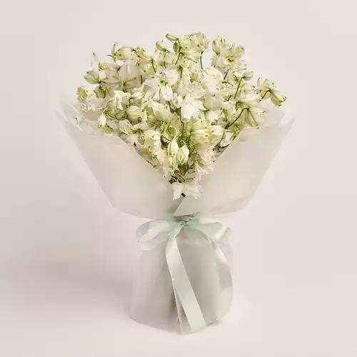 Product image Bouquet 19 White Delphiniums, packaging: Transparent, vendor code: 3335