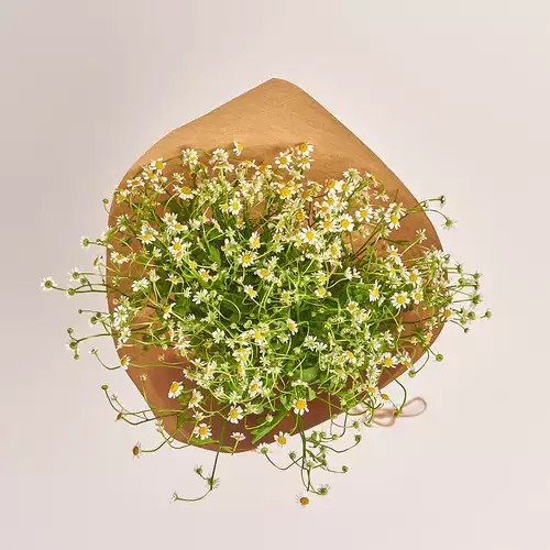 Зображення товару Букет 15 Танацетумів, пакування: Крафт, артикул: 3336