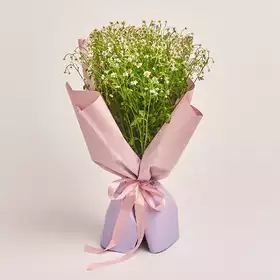 Product image Bouquet 15 Tanacetums, packaging: Gradiens violet, vendor code: 3336