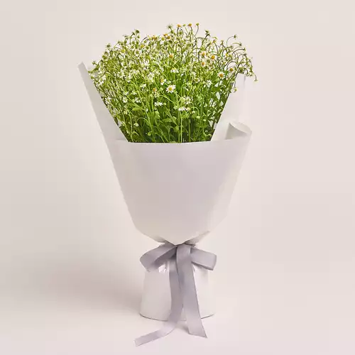 Product image Bouquet 15 Tanacetums, packaging: White, vendor code: 3336