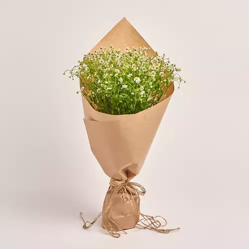 Product image Bouquet 15 Tanacetums, packaging: Сraft, vendor code: 3336