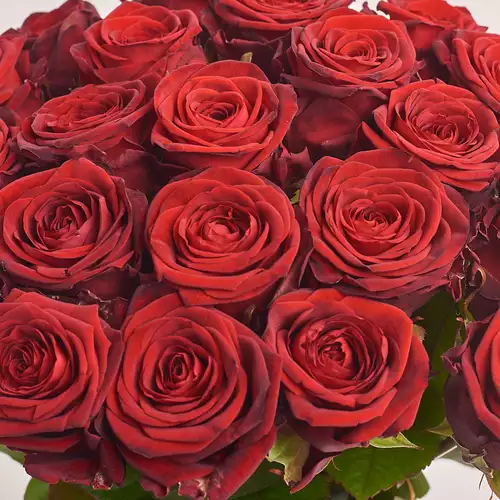 Product image Bouquet 25 Roses Red Naomi, packaging: Gray, vendor code: 3337