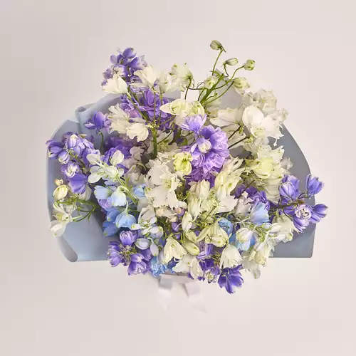 Product image Bouquet 25 Delphiniums Мix, packaging: Gray, vendor code: 3340