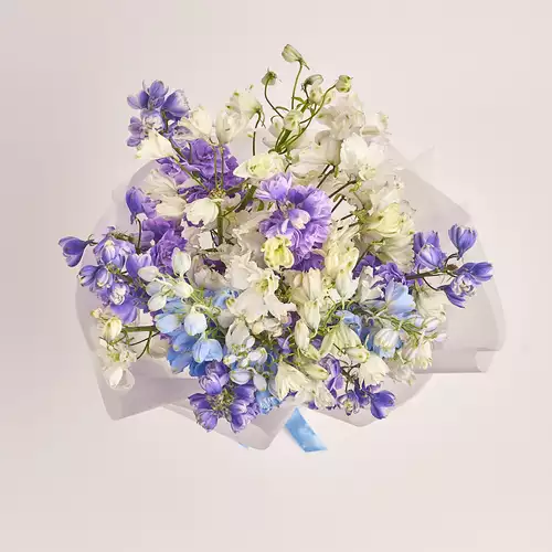 Product image Bouquet 25 Delphiniums mix, packaging: Transparent, vendor code: 3340