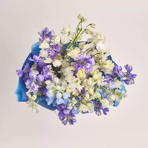 Product image Bouquet 25 Delphiniums mix, packaging: Gradiens blue, vendor code: 3340