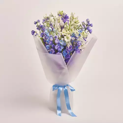 Product image , vendor code: 