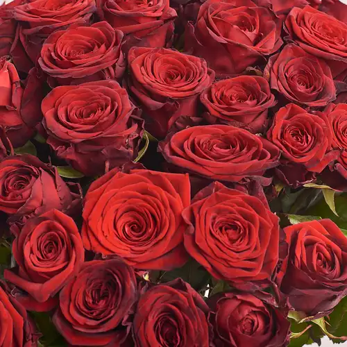 Изображение товара Букет 51 Красная роза Ред Наоми, упаковка: Композит светло-розовый, артикул: 3341